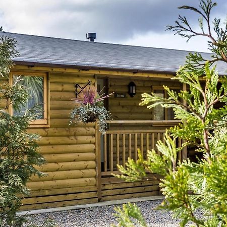 Laurel Lodge - 2 Bedroom Log Cabin - St Florence Saint Florence Esterno foto