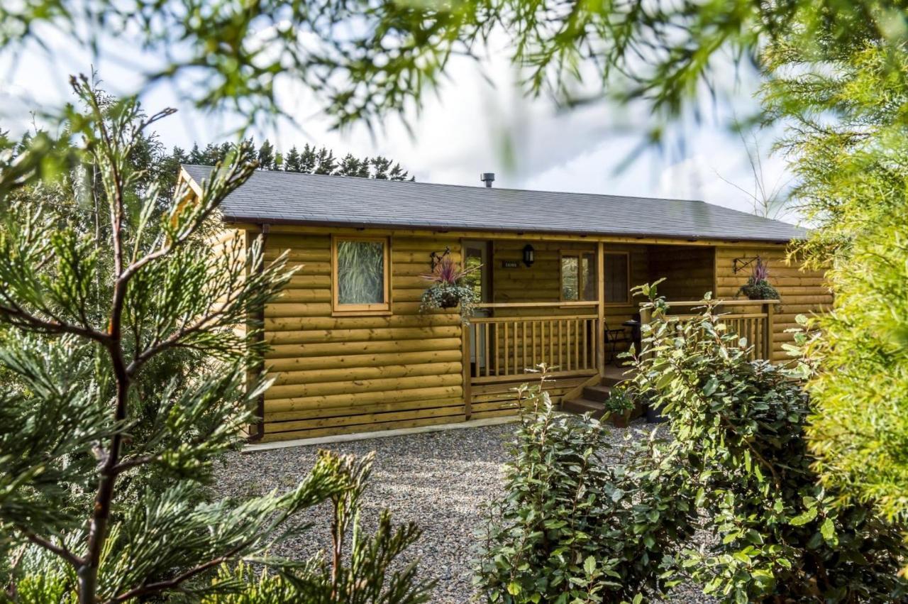 Laurel Lodge - 2 Bedroom Log Cabin - St Florence Saint Florence Esterno foto